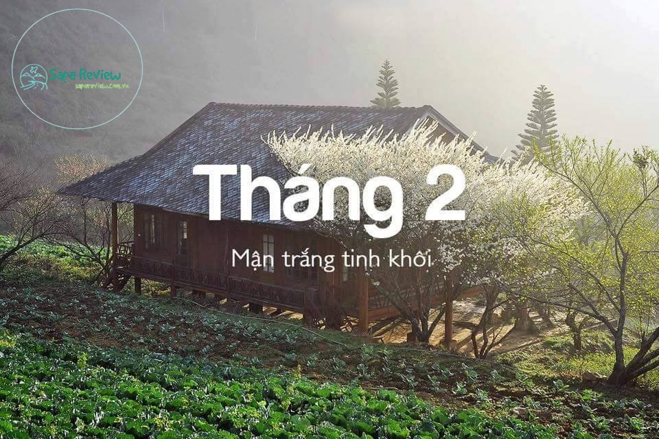 Sapa vào tháng 2.