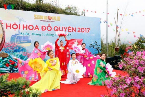 Lễ hội hoa đỗ quyên