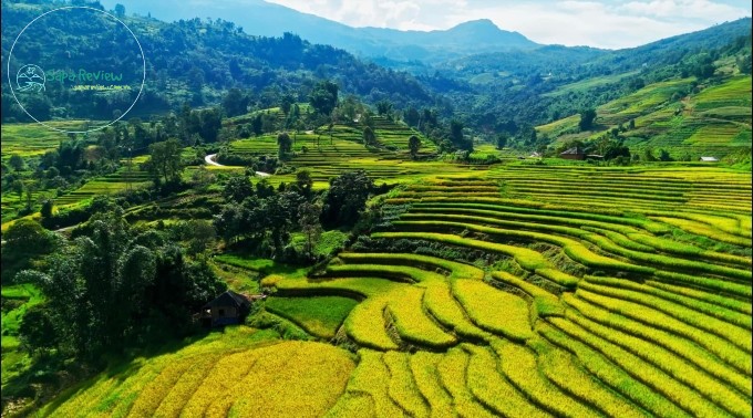 Ruộng bậc thang ở Y Tý hôm 6/9. 