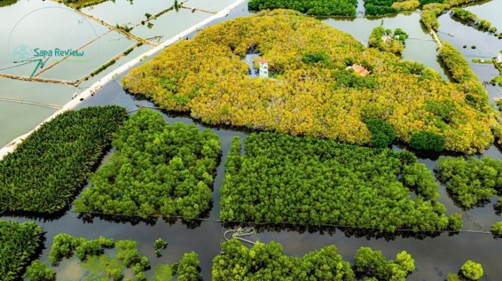 Rừng Rú Chá cách thành phố Huế khoảng 15 km, là khu rừng ngập mặn duy nhất còn tồn tại trên hệ đầm phá Tam Giang.