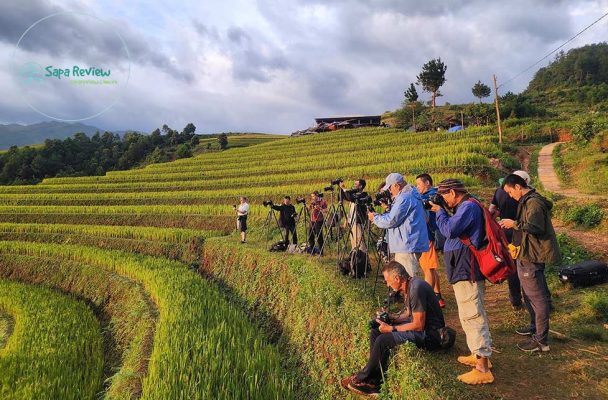 Khách ghé thăm Mù Cang Chải chủ yếu là các nhiếp ảnh gia trong nước và quốc tế săn ảnh mùa vàng.