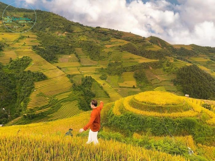 Săn mùa lúa chín ở hà Giang.