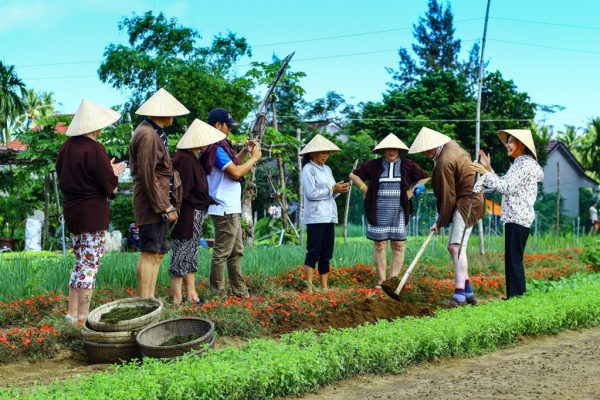 Du khách quốc tế tham quan, trải nghiệm trồng rau cùng nông dân tại làng rau Trà Quế