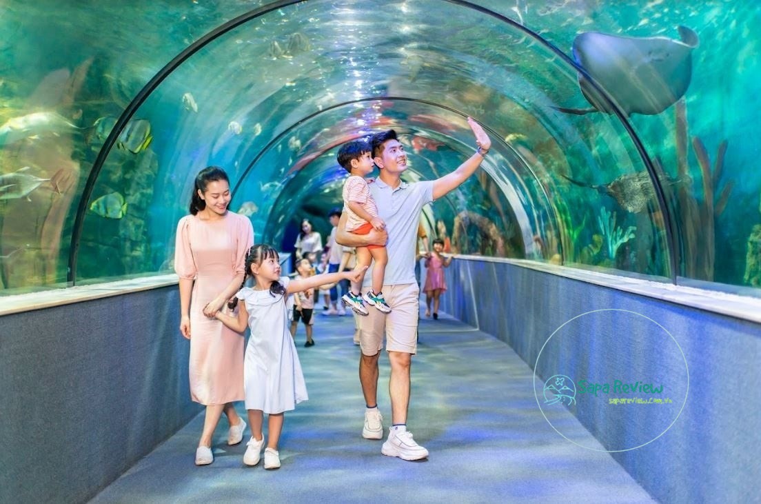 Thủy cung Vinpearl Aquarium – thủy cung hấp dẫn bậc nhất Hà thành