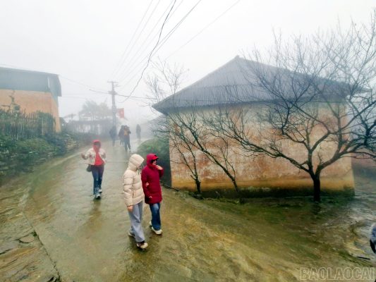 Bản làng người Hà Nhì với những ngôi nhà đất huyền ảo trong biển sương mờ trở thành điểm đến hấp dẫn du khách.