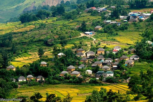 Bản làng trong mây - y tý