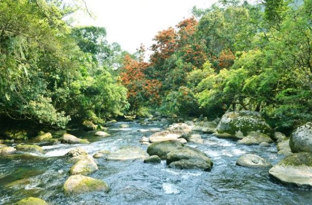 Tour Quảng Bình chuyên nghiệpQuảng Bình Travel Tour Quảng Bình chuyên nghiệp Khám phá Suối nước nóng Kênh Gà: Điểm ... Crystal Bay Khám phá Suối nước nóng Kênh Gà: Điểm ... Khu Du Lịch Sinh Thái Suối Nước Moọc ... QBTravel Khu Du Lịch Sinh Thái Suối Nước Moọc ... Khu Du Lịch Sinh Thái Suối Nước Moọc ... QBTravel Khu Du Lịch Sinh Thái Suối Nước Moọc ... Suối Nước Moọc - Giá Vé vui chơi Suối ... Du Lịch Phong Nha Suối Nước Moọc - Giá Vé vui chơi Suối ... Dòng suối lạ kỳ nào mà ai cũng phải ghé ... Thế giới tiếp thị - Dân Việt Dòng suối lạ kỳ nào mà ai cũng phải ghé ... Chiêm ngưỡng Suối nước Moọc Quảng Bình ... MIA.vn Chiêm ngưỡng Suối nước Moọc Quảng Bình ... Tour Quảng Bình Tour Quảng Bình Tour Quảng Bình DoanhnhanPlus.vn DoanhnhanPlus.vn DoanhnhanPlus.vn TOUR ĐỘNG THIÊN ĐƯỜNG – SUỐI NƯỚC MOỌC ... Cho thuê xe máy Quảng Bình - Cho thuê xe máy Quảng Bình TOUR ĐỘNG THIÊN ĐƯỜNG – SUỐI NƯỚC MOỌC ... Suối nước nóng bản Mòng – Điểm đến đầy ... Du lịch Sơn La Suối nước nóng bản Mòng – Điểm đến đầy ... Khu Du Lịch Sinh Thái Suối Nước Moọc ... QBTravel Khu Du Lịch Sinh Thái Suối Nước Moọc ... Dulich.Pro.Vn Dulich.Pro.Vn Dulich.Pro.Vn Suối Moọc - Chốn "thiên đường" tuyệt ... tour phong nha kẻ bàng Suối Moọc - Chốn "thiên đường" tuyệt ... Related searches suối moọc quảng bình hang tối suối moọc suối mooc Quangbinh.travel Quangbinh.travel Quangbinh.travel Trải nghiệm cuộc sống hòa mình với ... tracuuquyhoach.com Trải nghiệm cuộc sống hòa mình với ... Suối Nước Moọc – Vẻ đẹp ngỡ như tiên cảnh Tour Phong Nha Kẻ Bàng Suối Nước Moọc – Vẻ đẹp ngỡ như tiên cảnh Suối Nước Moọc Quảng Bình - sức cuốn ... Phong Nha Trips Suối Nước Moọc Quảng Bình - sức cuốn ... Phong Nha ... Facebook Phong Nha ... Suối nước Moọc Quảng Bình CÔNG TY TNHH LÊ TRAVEL Suối nước Moọc Quảng Bình Caravan & Teambuilding NP Tour Caravan & Teambuilding Tour Quảng Bình - Động Thiên Đường ... PYS Travel Tour Quảng Bình - Động Thiên Đường ... SUỐI NÓNG BẢN MÒNG – ĐẾN SƠN LA THƯ ... tuongtaccongdong.com SUỐI NÓNG BẢN MÒNG – ĐẾN SƠN LA THƯ ... Suối Nước Nóng Tsenkher | Món Qùa Từ ... Du Lịch Mông Cổ Suối Nước Nóng Tsenkher | Món Qùa Từ ... Phongnha Discovery Tours Phong Nha Discovery Phongnha Discovery Tours ACOUSTIC MOUNTAIN MUSIC TOUR ... Trung Tâm Hội Nghị 37 Hùng Vương - ACOUSTIC MOUNTAIN MUSIC TOUR ... Suối Nước Moọc đẹp như tiên cảnh ở ... Lifestyle - Znews Suối Nước Moọc đẹp như tiên cảnh ở ... KDL Suối Mơ Quy Nhơn - Sự Nguyên Sơ Của ... Top10quynhon KDL Suối Mơ Quy Nhơn - Sự Nguyên Sơ Của ... Suối Nước Moọc đẹp như tiên cảnh ở ... Lifestyle - Znews Suối Nước Moọc đẹp như tiên cảnh ở ... Trải nghiệm Bản Mòng - tắm khoáng nóng ... Báo Dân tộc và Phát triển Trải nghiệm Bản Mòng - tắm khoáng nóng ... Báo Đà Nẵng điện tử Báo Đà Nẵng điện tử Báo Đà Nẵng điện tử 5 trải nghiệm tuyệt vời tại đất nước ... Báo Bắc Giang 5 trải nghiệm tuyệt vời tại đất nước ... Tsenkher (Tsenkher Hot Spring ... Gody.vn Tsenkher (Tsenkher Hot Spring ... Giá vé tham quan khu du lịch suối nước ... Tour Pro Giá vé tham quan khu du lịch suối nước ... Tour Quảng Bình - Động Thiên Đường ... PYS Travel Tour Quảng Bình - Động Thiên Đường ... Khu Du Lịch Sinh Thái Suối Nước Moọc ... QBTravel Khu Du Lịch Sinh Thái Suối Nước Moọc ... Travel - Tour ... Quảng Bình Travel Travel - Tour ... Cẩm nang du lịch Suối nước Moọc - Chốn ... Gạo House Cẩm nang du lịch Suối nước Moọc - Chốn ... Related searches bãi đá nhảy suối nước cồn cát quang phú Suối Nước Moọc : Tất tần tật những gì ... SOHA Suối Nước Moọc : Tất tần tật những gì ... Thác suối kỳ thú giữa lòng rừng già ... LA34 Thác suối kỳ thú giữa lòng rừng già ... SUỐI NƯỚC NÓNG BẢN MÒNG (SƠN LA) asean travel SUỐI NƯỚC NÓNG BẢN MÒNG (SƠN LA) Khám phá suối Mơ Phú Quốc - Dòng suối ... Phú Quốc Khám phá suối Mơ Phú Quốc - Dòng suối ... Suối Nước Nóng Tsenkher | Món Qùa Từ ... Du Lịch Mông Cổ Suối Nước Nóng Tsenkher | Món Qùa Từ ... Phong Nha ... Facebook Phong Nha ... Quangbinh.travel Quangbinh.travel Quangbinh.travel Vẻ đẹp mộng mơ của thác nước Thập Phần ... Lữ hành Liên Đại Dương Vẻ đẹp mộng mơ của thác nước Thập Phần ... LANDTOUR MÔNG CỔ 2024: ULAN BATO – CỒN ... Vietrantour LANDTOUR MÔNG CỔ 2024: ULAN BATO – CỒN ... Say đắm với vẻ đẹp thơ mộng giữa núi ... Dân trí Say đắm với vẻ đẹp thơ mộng giữa núi ... xanh ngọc lam ... Báo Giao Thông xanh ngọc lam ... Suối Nước Mọoc Viên Ngọc Xanh Ẩn Mình ... Phong Nha Adventure Tours Suối Nước Mọoc Viên Ngọc Xanh Ẩn Mình ... Hào hứng khi đến khám phá Suối Tranh ... Phú Quốc Xanh Hào hứng khi đến khám phá Suối Tranh ... baotintuc.vn baotintuc.vn baotintuc.vn Suối Nước Moọc - thiên đường mới nổi ... Mytour blog Suối Nước Moọc - thiên đường mới nổi ... Eagle Tourist Du Lịch Đại Bàng Eagle Tourist Suối nước nóng - Suối Bang Quảng Bình CÔNG TY TNHH LÊ TRAVEL Suối nước nóng - Suối Bang Quảng Bình Suối Moọc - chốn “tiên cảnh” thu nhỏ ... Traveloka Suối Moọc - chốn “tiên cảnh” thu nhỏ ... Thác suối kỳ thú giữa lòng rừng già ... LA34 Thác suối kỳ thú giữa lòng rừng già ... Nhiếp Ảnh JPG Tải xuống miễn ... Pikbest Nhiếp Ảnh JPG Tải xuống miễn ... Tắm suối nước nóng giữa rừng tuyết trắng Travellive Tắm suối nước nóng giữa rừng tuyết trắng DoanhnhanPlus.vn DoanhnhanPlus.vn DoanhnhanPlus.vn Tour Du Lịch Mông Cổ: Trải Nghiệm Cuộc ... Công Ty Tổ Chức Tour Nước Ngoài Uy Tín Tại Việt Nam Tour Du Lịch Mông Cổ: Trải Nghiệm Cuộc ... Trang tin tức của Truyền hình VOVTV VOV Du lịch Trang tin tức của Truyền hình VOVTV Related searches đồi cát quang phú hang tối quảng bình bãi biển nhật lệ long son suoi nuoc mong hoat ... Báo Bình Thuận long son suoi nuoc mong hoat ... Vietjet Air Vietjet Air Vietjet Air Dulich.Pro.Vn Dulich.Pro.Vn Dulich.Pro.Vn Suối Nước Moọc đẹp như tiên cảnh ở ... Lifestyle - Znews Suối Nước Moọc đẹp như tiên cảnh ở ... Suối nước Moọc, Quảng Bình Vietgoing.com Suối nước Moọc, Quảng Bình Tiểu Cảnh Thác Nước Ngoài Trời Núi Non ... decor phong thuy Tiểu Cảnh Thác Nước Ngoài Trời Núi Non ... Phong Nha Travel Phong Nha Travel Phong Nha Travel Vẻ đẹp mộng mơ huyền ảo suối Mơ Đà Nẵng ... Tour du lịch Vẻ đẹp mộng mơ huyền ảo suối Mơ Đà Nẵng ... Khám phá suối nước Moọc - Địa điểm du ... Tico Travel Khám phá suối nước Moọc - Địa điểm du ... Tour du lịch Suối Nước Moọc Tour du lịch Phong Nha Kẻ Bàng Tour du lịch Suối Nước Moọc Suối Chiếu Retreat giữa thiên nhiên thơ ... Báo Văn Hóa Suối Chiếu Retreat giữa thiên nhiên thơ ... Lâm Đồng: Ghé Đam Rông tắm suối nước nóng Click49 Lâm Đồng: Ghé Đam Rông tắm suối nước nóng 15+ suối ở Việt Nam đẹp như mơ, cực ... VinWonders 15+ suối ở Việt Nam đẹp như mơ, cực ... Cẩm nang du lịch Suối Nước Moọc Quảng Bình Jungle Boss Cẩm nang du lịch Suối Nước Moọc Quảng Bình Khu du lịch suối nước Moọc thiên đường ... Vietskytourism Khu du lịch suối nước Moọc thiên đường ... Du lịch mùa đông, thư giãn cùng những ... Bách hóa XANH Du lịch mùa đông, thư giãn cùng những ... SUỐI TRANH PHÚ QUỐC - BỨC TRANH THIÊN ... Smile Travel SUỐI TRANH PHÚ QUỐC - BỨC TRANH THIÊN ... Cẩm nang du lịch Suối Nước Moọc từ A-Z 5 days ago Sovaba Travel Cẩm nang du lịch Suối Nước Moọc từ A-Z Suối nước nóng Bò Ấm thư giãn nghỉ ngơi ... Nhà đẹp Thủ đô Suối nước nóng Bò Ấm thư giãn nghỉ ngơi ... Khu Du Lịch Sinh Thái Suối Nước Moọc ... QBTravel Khu Du Lịch Sinh Thái Suối Nước Moọc ... Suối Moọc - chốn “tiên cảnh” thu nhỏ ... Traveloka Suối Moọc - chốn “tiên cảnh” thu nhỏ ... Tour Quảng Bình Tour Quảng Bình Tour Quảng Bình Phongnha Discovery Tours Phong Nha Discovery Phongnha Discovery Tours Dulich24.com.vn Tour du lịch Dulich24.com.vn Related searches phong nha kẻ bàng biển nhật lệ thung lũng hava Khám phá suối nước Moọc - Địa điểm du ... Tico Travel Khám phá suối nước Moọc - Địa điểm du ... Bài viết chi tiết Bài viết chi tiết Bài viết chi tiết Suối Đá Ngọn-con sông Đà thu nhỏ bạn đã ... Phú Quốc Xanh Suối Đá Ngọn-con sông Đà thu nhỏ bạn đã ... More results VQG Phong Nha Kẻ Bàng Điểm du lịch sinh thái Suối Nước Moọc - VQG Phong Nha Kẻ Bàng Điểm du lịch sinh thái Suối Nước Moọc - VQG Phong Nha Kẻ Bàng