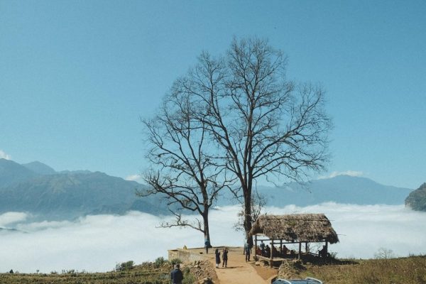 Y Tý Đại Ngàn - Lào Cai