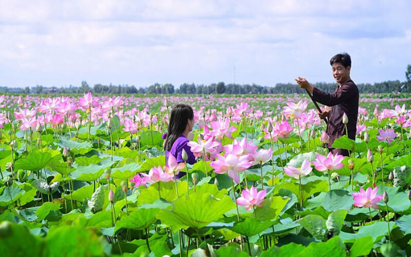 Cảnh Sắc Thơ Mộng Cùng Vẻ Đẹp Tinh Khôi