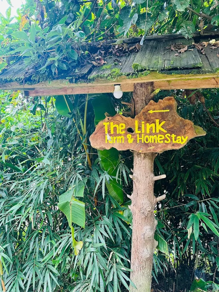 The Link Farm and Homestay Sapa