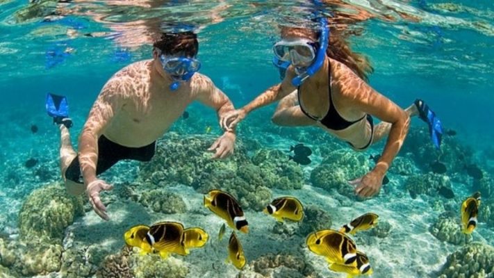 Lựa chọn điểm đến lặn biển phù hợp