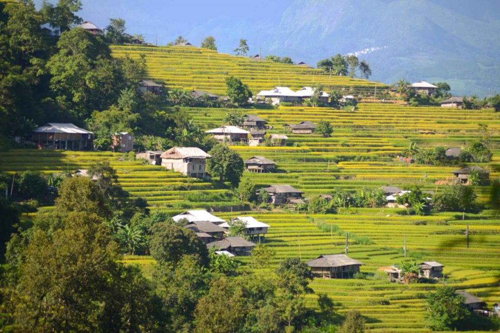 Ruộng bậc thang và nhà cửa nằm xen kẽ nhau ở Bản Phùng