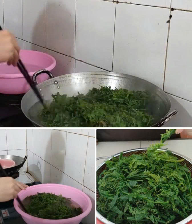 Chần rau dớn